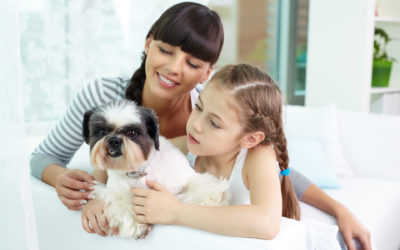 ¿Pensando en añadir un perro a tu familia?