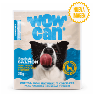 Salmón