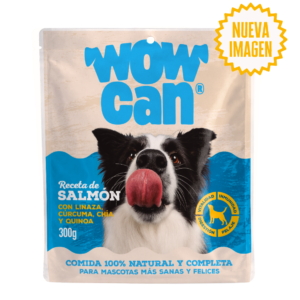 Salmón